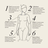 Lymphatic Drainage Dots